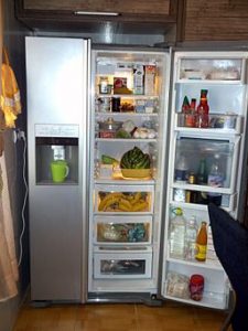 Getting Mold off of a Warm Refrigerator (Question Answered)