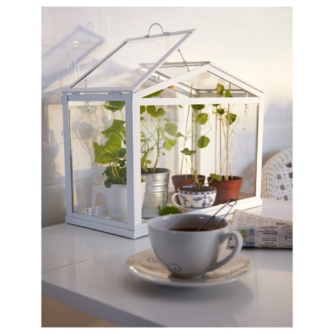 mini greenhouse