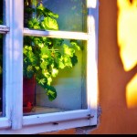 Winter Home Tips: Eliminate Drafts From Your Windows