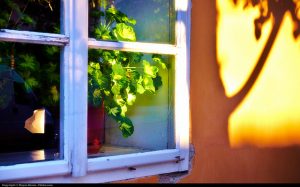 Window - Photo credit: Flickr; https://www.flickr.com/photos/aigle_dore/6365060845