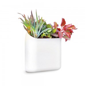 Plant Wall Hanging Unit