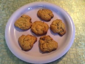 Homemade Chocolate Chip Cookies with Stevia