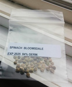 Heirloom Spinach Seeds