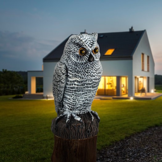 motion activated owl