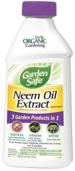 neem oil