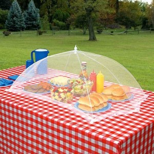 How to Protect Food from Insects at Outdoor Barbecues and Picnics