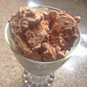 Chocolate Ice Cream in a Bag