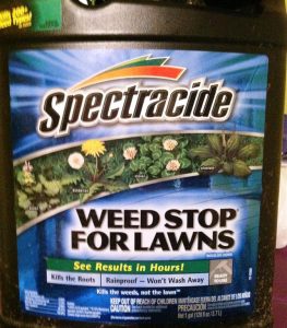 Product Review: Spectracide Weed Stop For Lawns