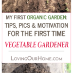 My First Organic Garden: Tips, Pics & Motivation for the First Time Vegetable Gardener
