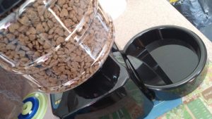 Automatic Timed Cat Feeder that Talks to Your Pets: A Must for Vacations