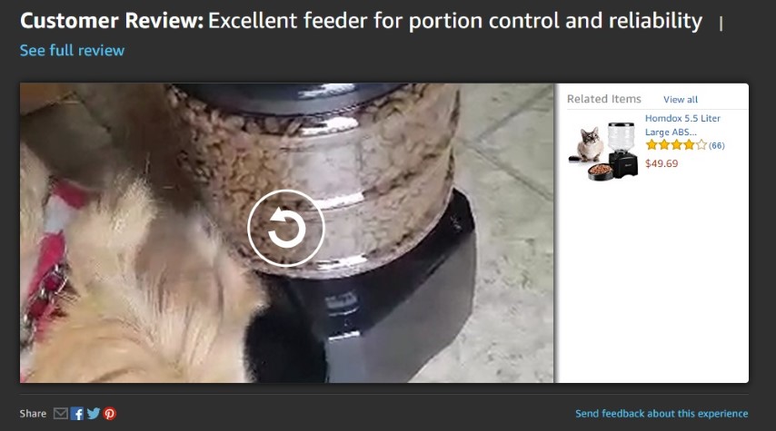 Cat Feeder Video Review