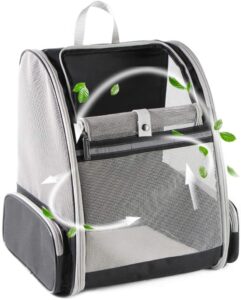 The Cat Backpack: Take Your Indoor Cat Outside with You Safely