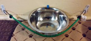 How to Keep a Cat (or Dog) from Knocking Over Water Bowls