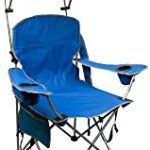 The Classic Canopy Chair