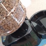Automatic Timed Cat Feeder that Talks to Your Pets: A Must for Vacations